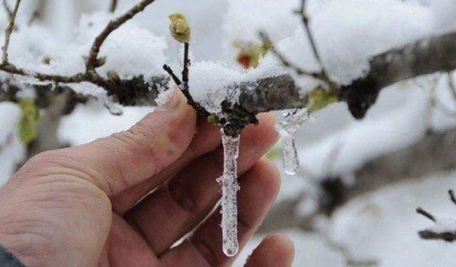 AFAD’dan Muğla İçin Don ve Soğuk Hava Uyarısı: Tarih Verildi, Riskler Açıklandı