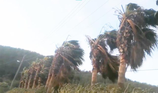 Bodrum, Datça ve Marmaris kıyılarına fırtına uyarısı