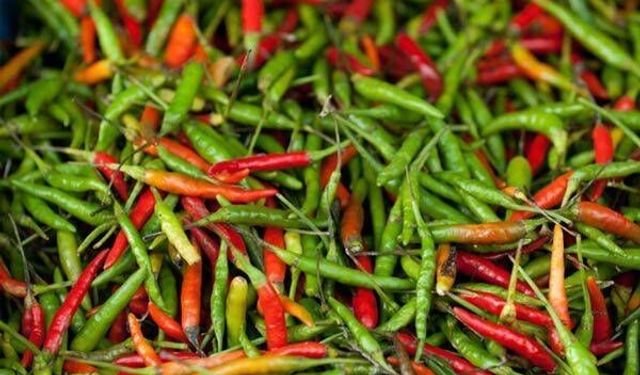 Sofraların Vazgeçilmezi Ama Etkisi Gizli: Acı Biber Kaygıyı Tetikleyebilir