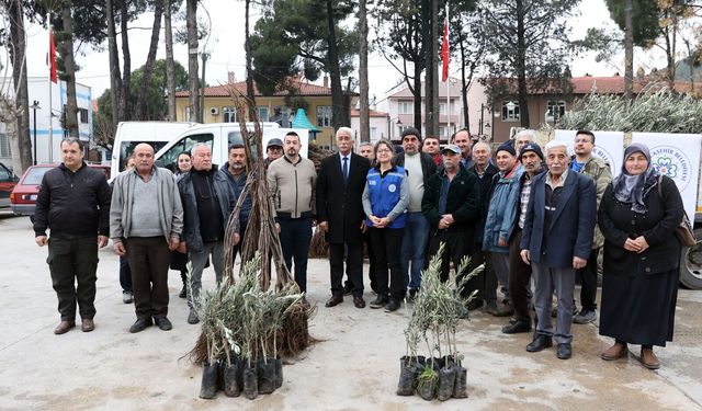 Büyükşehir’den Ula’da Üreticiye Zeytin ve Ceviz Fidanı Desteği