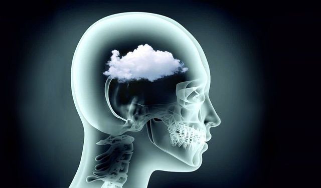 Unutkanlık ve Odak Sorunu Yaşıyorsanız Dikkat!