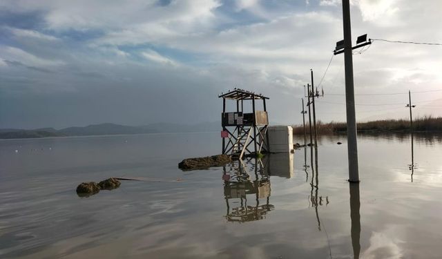 Köyceğiz Gölü Taştı, Atatürk Kordonu Sular Altında