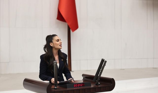 Özcan’dan Bakanlığa Marmaris uyarısı: “Selimiye’de Ekolojik Yıkım Riski”