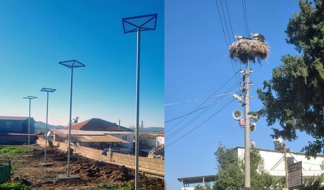 Milas’ta Leyleklere Güvenli Yuva