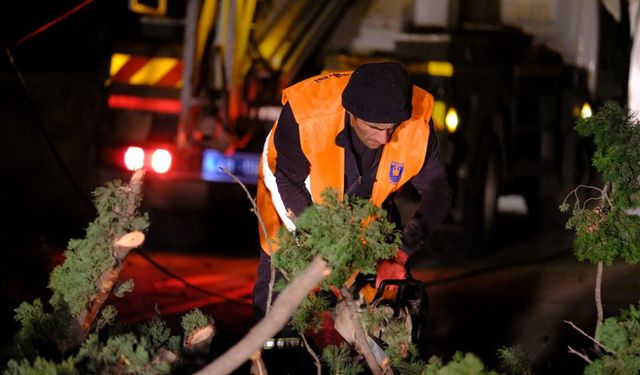 Bodrum Belediyesi fırtınaya karşı sahaya indi