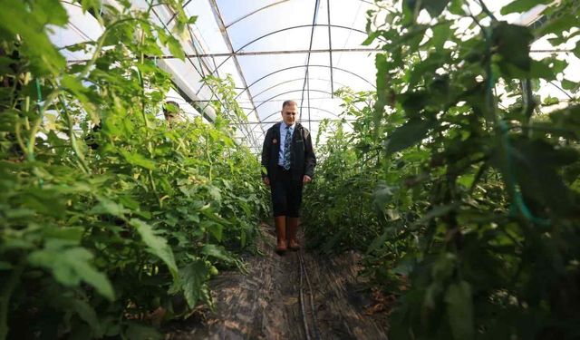 Vali Akbıyık’tan Köyceğiz’de zarar gören seralara ziyaret