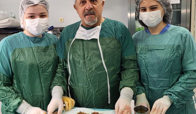 Karın ağrısıyla gitti, safrasından binlerce taş çıktı