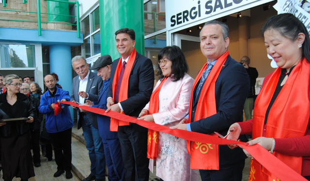 Fethiye'deki "Çin At Yılı" temalı sergi yoğun ilgi gördü