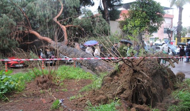 Sabah Saatlerinde Korku Dolu Anlar