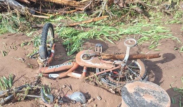 Marmaris’te Sağanak Sonrası Acı Tablo Ortaya Çıktı