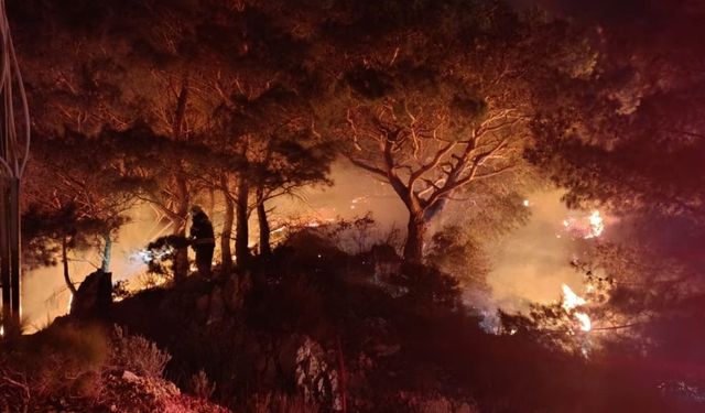 Bodrum’daki Orman Yangını Kontrol Altına Alındı