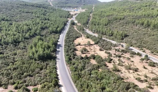 Milas Orman İşletme Müdürlüğünden İhale İptali İlamı