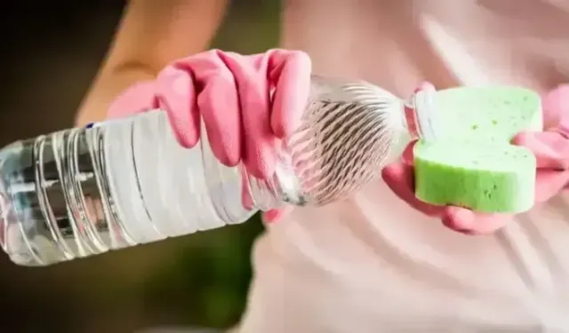 Beyaz Sirkeyle Asla Temizlememeniz Gereken 5 Yer!