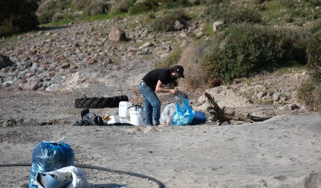 Tilkişen otu toplamaya gittiler, koyu temizlediler