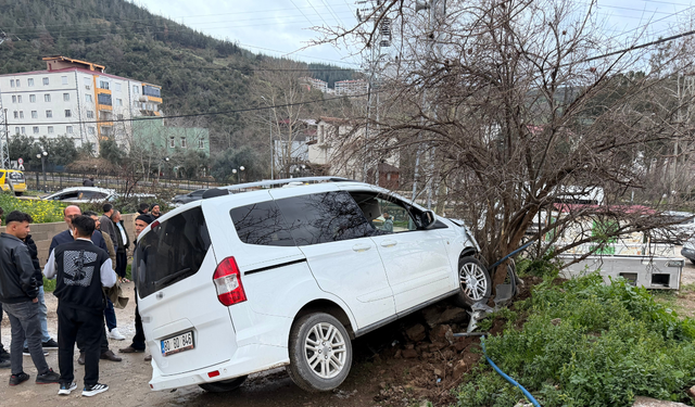 Freni boşalan hafif ticari araç ağaca çarptı: 1 yaralı