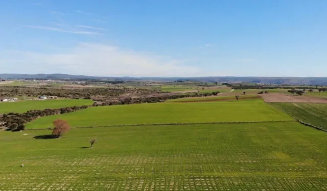 Muğla'da tarım yapmak için en zor ilçeler hangisi? İşte listesi