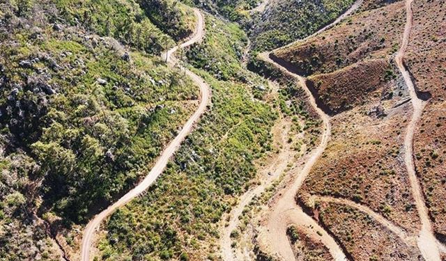Muğla'da ormanlık alanlara giriş yasaklandı: Turistik faaliyetlere kritik kısıtlama
