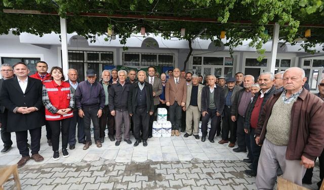 Muğla’da Çam Fıstığı İçin Kritik Hamle
