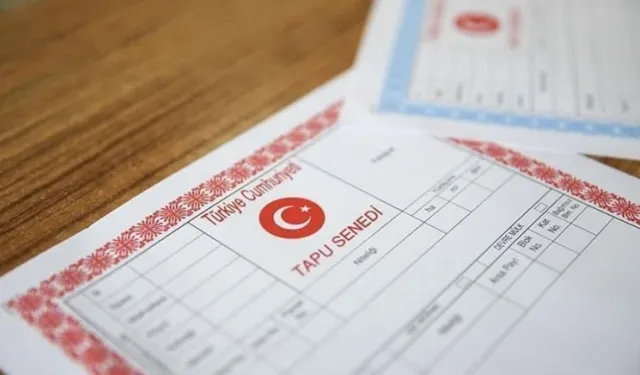 Evim Tapuda Bodrum ve Zemin Kat Gözüküyor Ne Yapmalıyım? İşte İzlenecek Tüm Adımlar