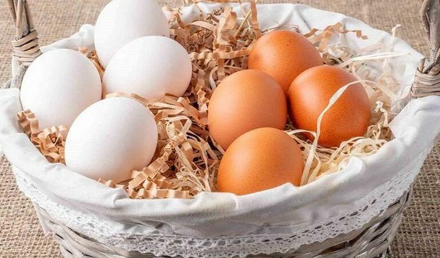 Uzmanlar açıkladı: Yumurtanın beyazı mı yoksa sarısı mı faydalı