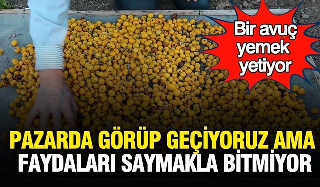 Pazar Tezgahlarının Gizli Hazinesi Alıç: Alıcın Cilde ve Sindirime Faydaları Neler?