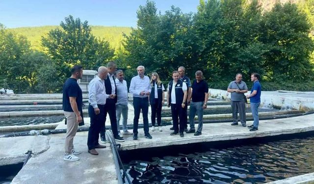 Seydikemer’de alabalık üretimi için saha incelemesi