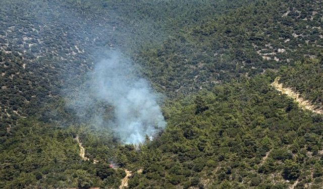Milas Kazıklı Koyu’nda Makilik Alanda Yangın Çıktı