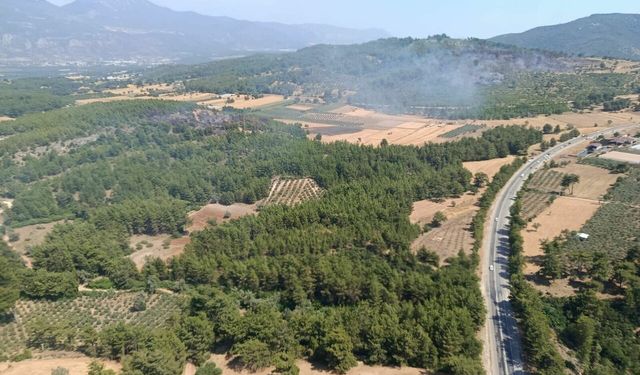 Seydikemer’deki yangın kontrol altına alındı