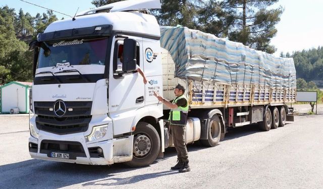 Muğla’da Orman Emvali Taşıyan Araçlara Denetim
