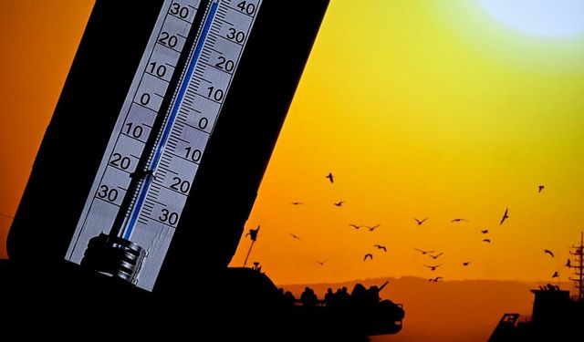 Uzman isimden El Nino uyarısı! Yangın tehlikesi kapıda