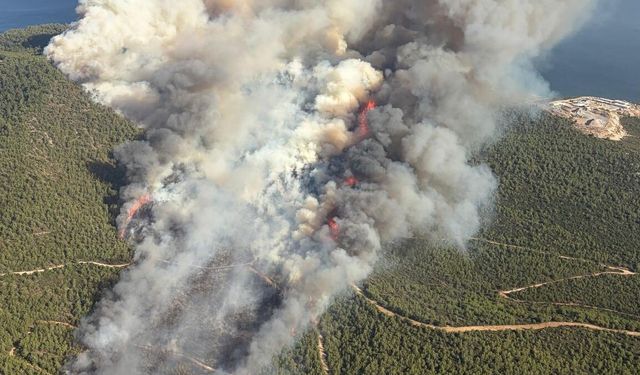 Milas’taki orman yangınına havadan ve karadan müdahale