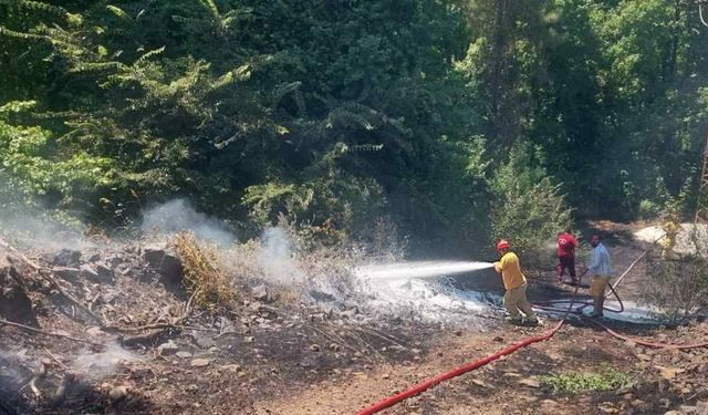 Marmaris Çamlı'daki Yangın Ormana Sıçramadan Söndü