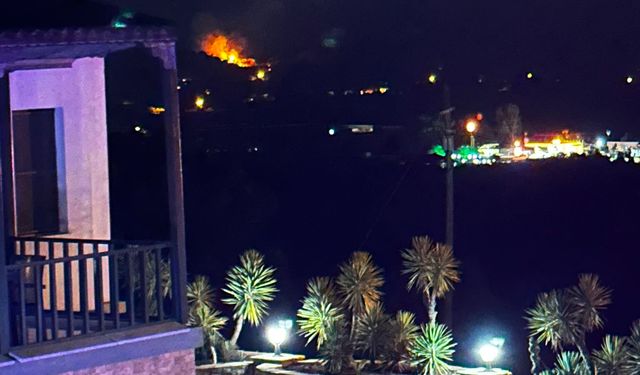Ula’da Zeytinlik Alanda Yangın Çıktı