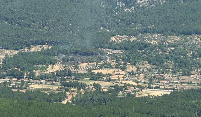 Menteşe'deki Yangın Kontrol Altına Alındı