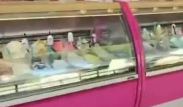 Bir top dondurmayı 400 liraya satmışlardı! Bakanlık müdahale etti