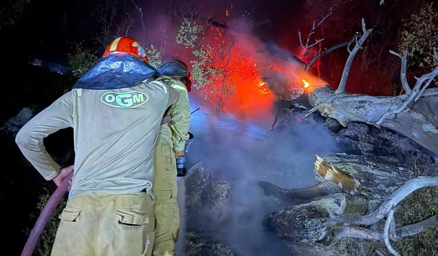 Yatağan’da ki yangında dikkat çeken mücadele: 1,5 kilometrelik yangın hattı oluşturuldu