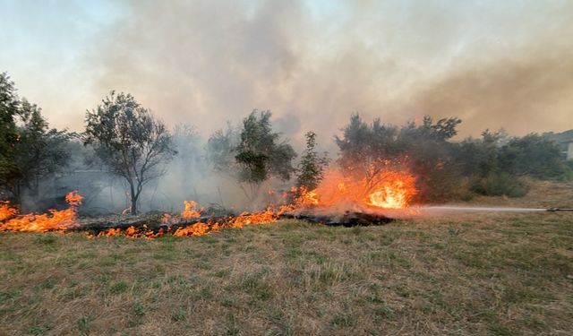 Muğla'da ot yangınına hızlı müdahale