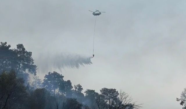 Göcek yangınının enerjisi düşürüldü, müdahale sürüyor