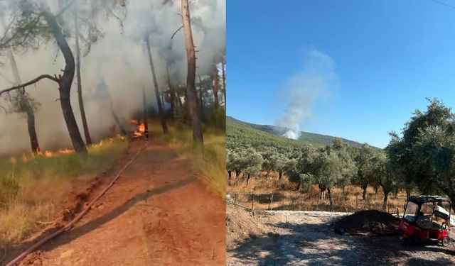 Muğla'da İki Ayrı Noktada Orman Yangını Çıktı, Ekipler Seferber Oldu