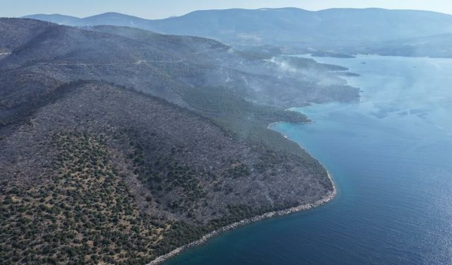 Milas'ta Yangının İzleri Havadan Görüntülendi