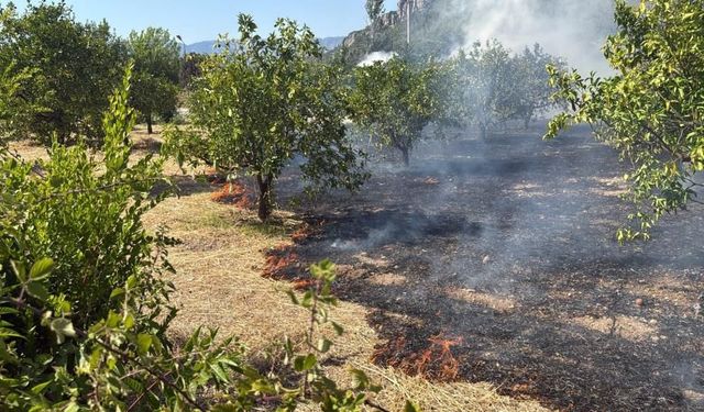 Marmaris’te Alevler Yükseldi, Müdahale Sürüyor