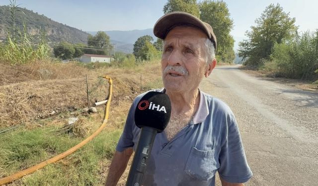 Alevler Zeytinliğini Aldı, O Mücadeleyi Bırakmadı