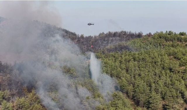 Muğla’daki İki Yangında Kritik Eşik Aşıldı