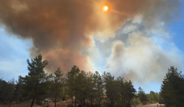Fethiye’de Kontrol Altındaki Yangın Yeniden Alevlendi
