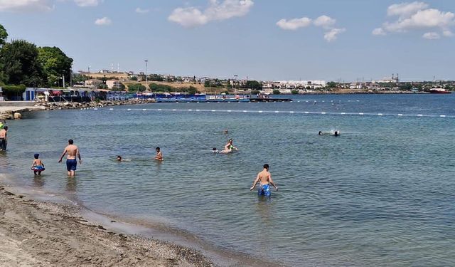 Marmara Denizi'nin ardından gözler Ege'ye çevrildi! Denizler için kritik uyarı