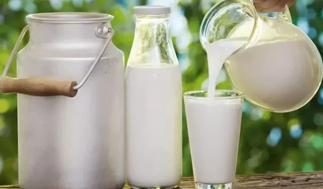 İnek sütü mü keçi sütü mü? Uzmanlar tartışmaya noktayı koydu