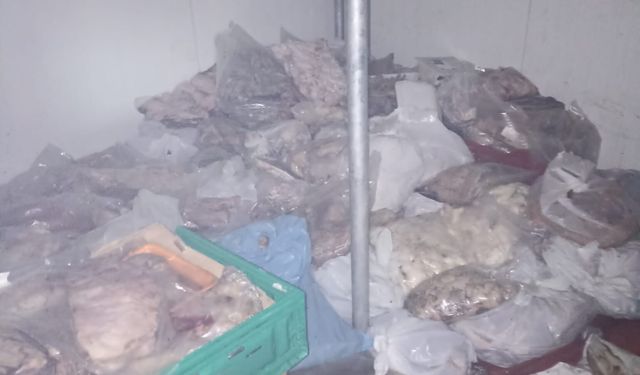 Bodrum’da Kasap Deposunda 400 Kilo Bozuk Et Bulundu