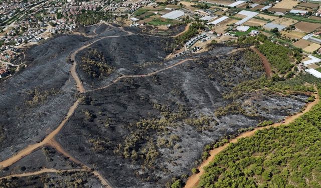 Fethiye’de yangın sonrası ortaya çıkan manzara yürek burktu
