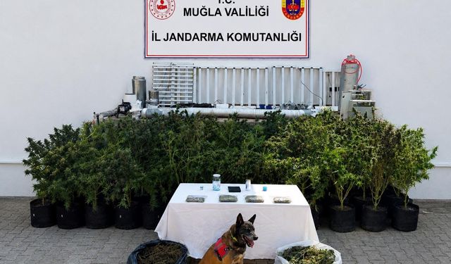 Bodrum’da Eve Baskın: 10 Kilo Skunk Ele Geçirildi