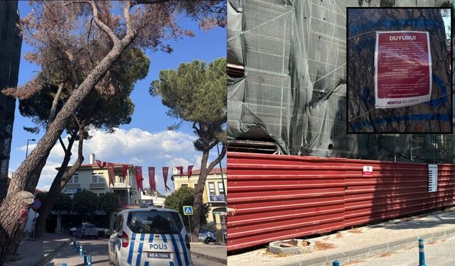 Menteşe’de Riskli Ağaçlar İçin Kesim Başladı